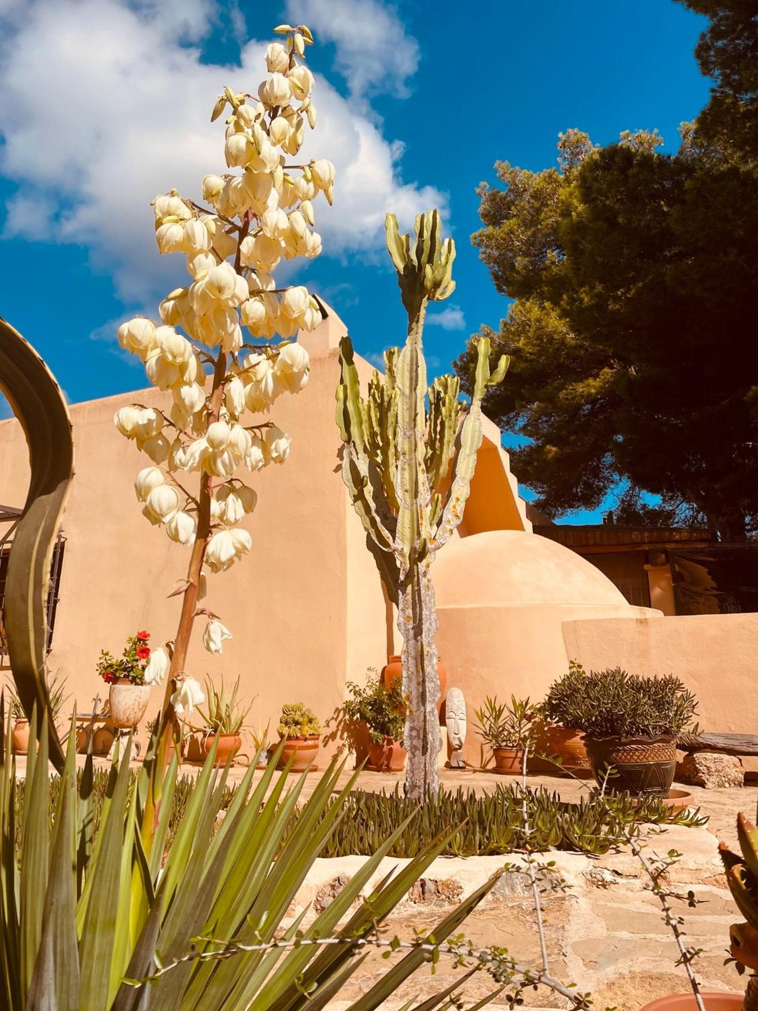 Finca Can Toni Sant Jordi de ses Salines Exterior foto